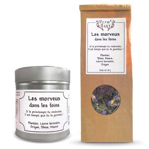 Les morveux dans les foins