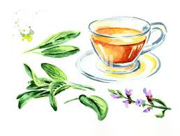 Comment Préparer une Infusion de Plantes Médicinales?