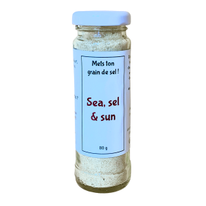 Sea sel and sun